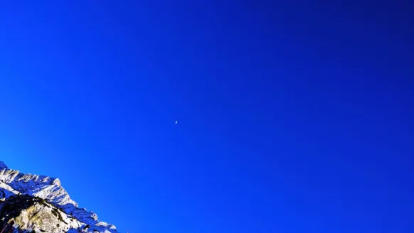 Casino Bet Rocker Stuðningur